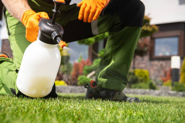 Reliable Hidden Meadows, CA Pest Control Solutions